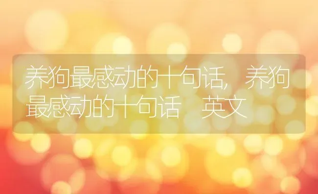 仓鼠能喝酸奶吗,仓鼠能喝酸奶吗安慕希牌的 | 宠物百科知识