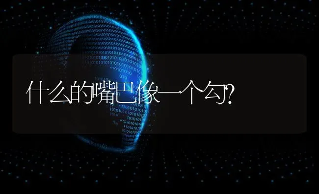 什么的嘴巴像一个勾？ | 动物养殖问答