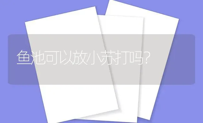 鱼池可以放小苏打吗？ | 鱼类宠物饲养