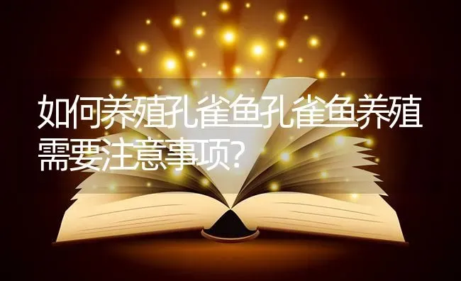 如何养殖孔雀鱼孔雀鱼养殖需要注意事项？ | 鱼类宠物饲养