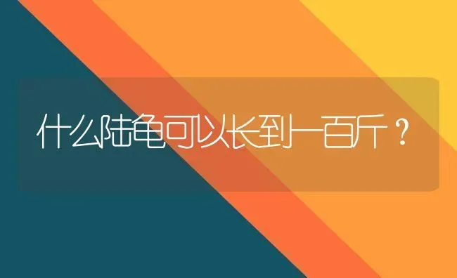 什么陆龟可以长到一百斤？ | 动物养殖问答