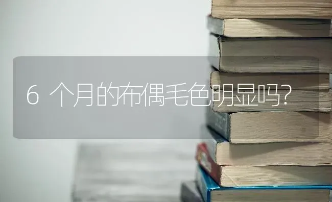 金毛幼犬大概多大进入尴尬期和换毛？ | 动物养殖问答