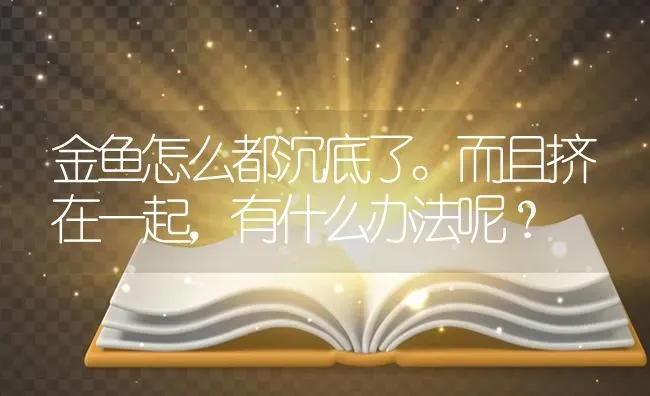 金鱼怎么都沉底了。而且挤在一起，有什么办法呢？ | 鱼类宠物饲养