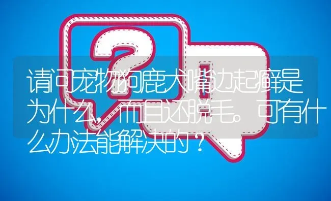 请问宠物狗鹿犬嘴边起癣是为什么，而且还脱毛。可有什么办法能解决的？ | 动物养殖问答