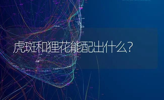 小狗得细小病毒不拉是不是好了六个小时没拉能喝水吗？ | 动物养殖问答