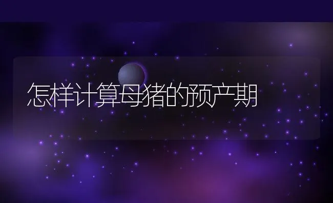 怎样计算母猪的预产期 | 动物养殖学堂