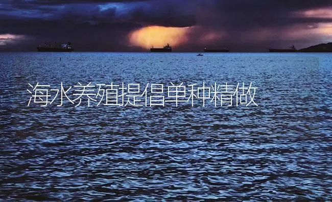 海水养殖提倡单种精做 | 海水养殖技术