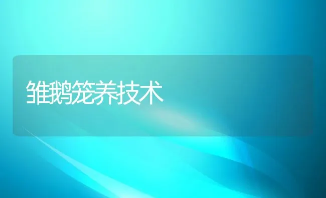 克氏原螯虾养殖技术要点 | 海水养殖技术