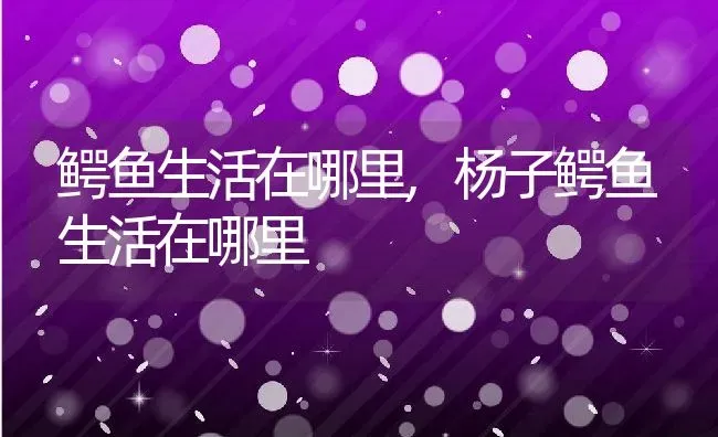 鳄鱼生活在哪里,杨子鳄鱼生活在哪里 | 宠物百科知识