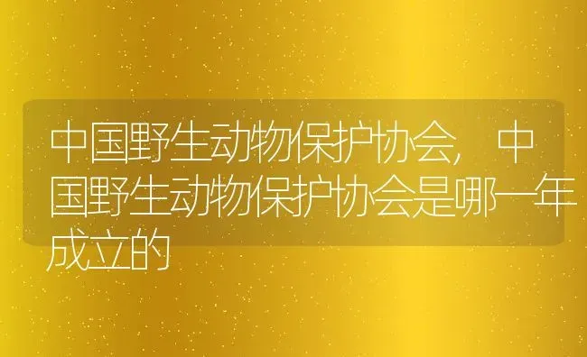 中国野生动物保护协会,中国野生动物保护协会是哪一年成立的 | 宠物百科知识