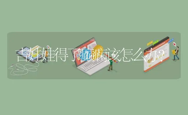 吉娃娃得了癫痫该怎么办？ | 动物养殖问答