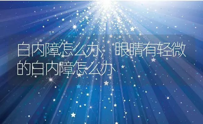 白内障怎么办,眼睛有轻微的白内障怎么办 | 宠物百科知识