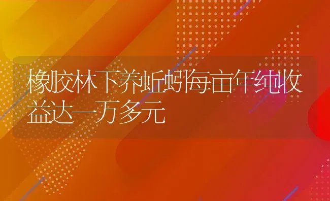 橡胶林下养蚯蚓每亩年纯收益达一万多元 | 动物养殖百科