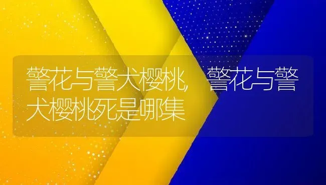 警花与警犬樱桃,警花与警犬樱桃死是哪集 | 宠物百科知识