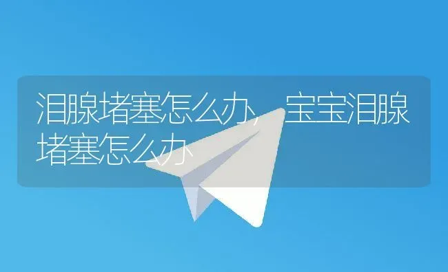 泪腺堵塞怎么办,宝宝泪腺堵塞怎么办 | 宠物百科知识