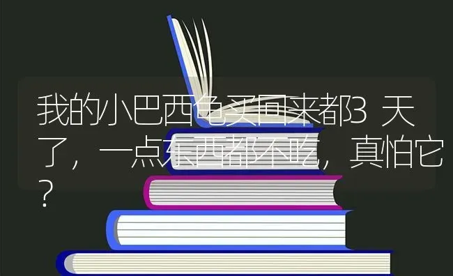 我的小巴西龟买回来都3天了，一点东西都不吃，真怕它？ | 动物养殖问答