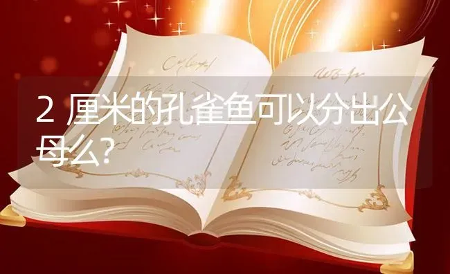 2厘米的孔雀鱼可以分出公母么？ | 鱼类宠物饲养