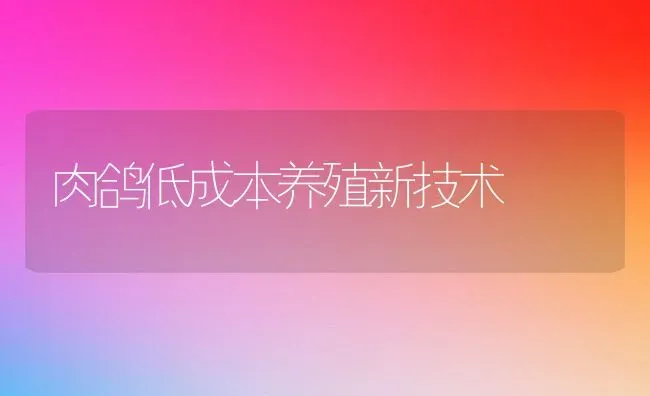 肉鸽低成本养殖新技术 | 动物养殖教程