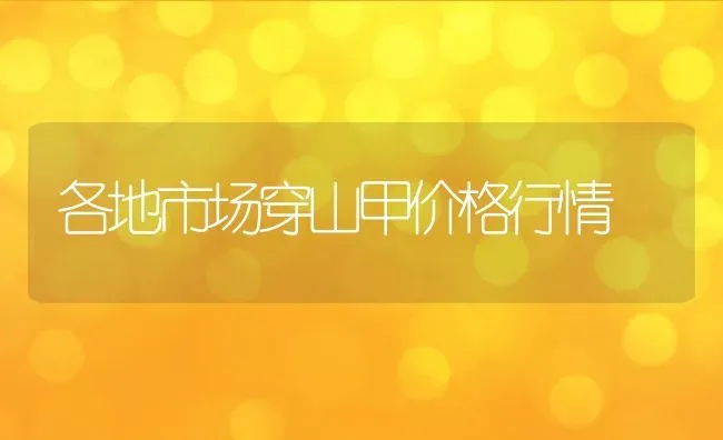 各地市场穿山甲价格行情 | 动物养殖百科