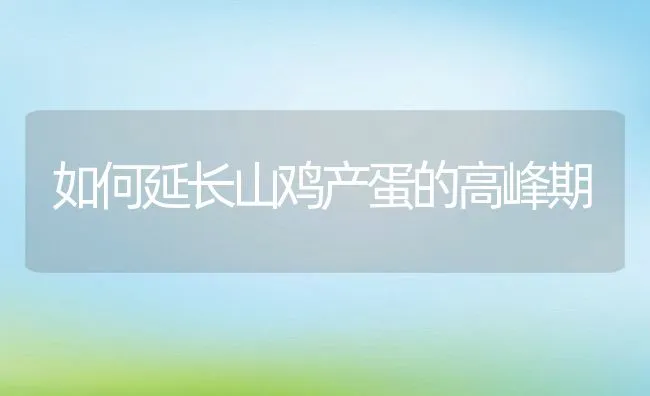 如何延长山鸡产蛋的高峰期 | 水产养殖知识