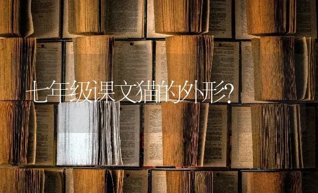 七年级课文猫的外形？ | 动物养殖问答