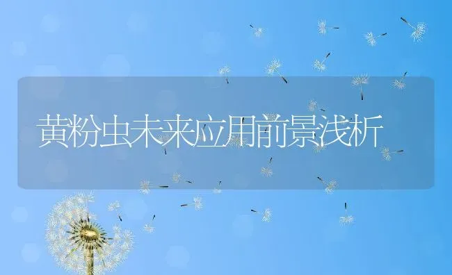 黄粉虫未来应用前景浅析 | 动物养殖教程