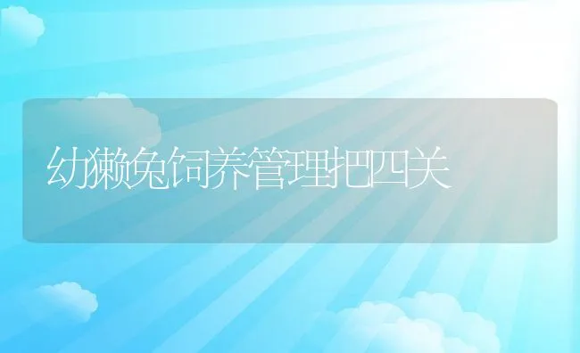 幼獭兔饲养管理把四关 | 水产养殖知识