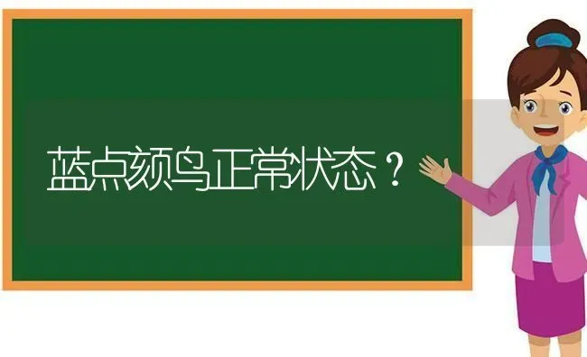 蓝点颏鸟正常状态？ | 动物养殖问答