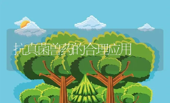 抗真菌兽药的合理应用 | 动物养殖学堂