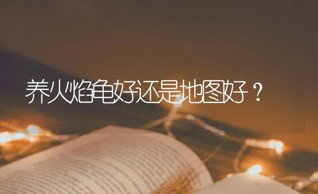 养火焰龟好还是地图好？ | 动物养殖问答