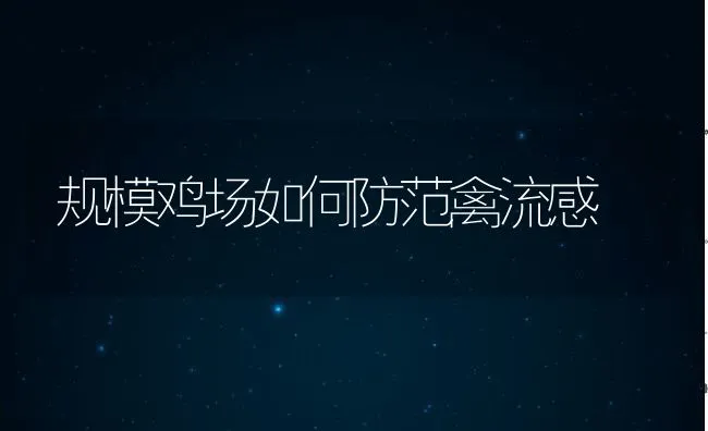 规模鸡场如何防范禽流感 | 动物养殖学堂