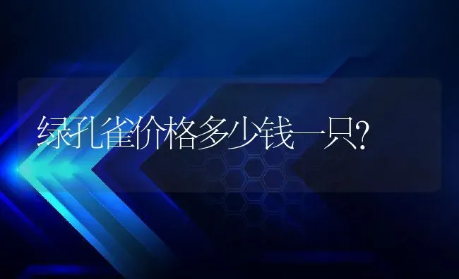 绿孔雀价格多少钱一只？ | 动物养殖百科