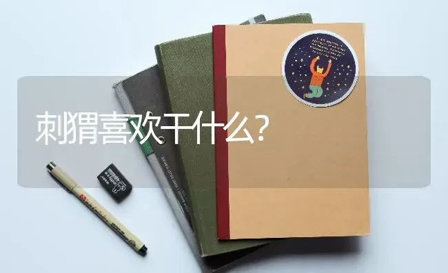 刺猬喜欢干什么？ | 动物养殖问答