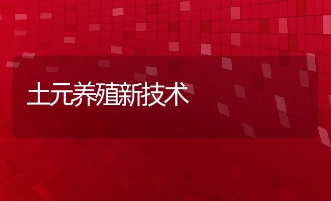 土元养殖新技术 | 动物养殖饲料