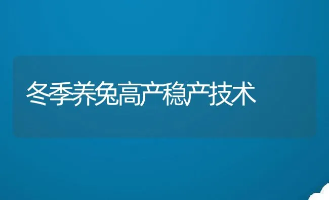 冬季养兔高产稳产技术 | 动物养殖学堂