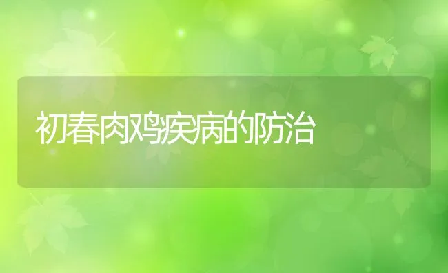 初春肉鸡疾病的防治 | 动物养殖学堂