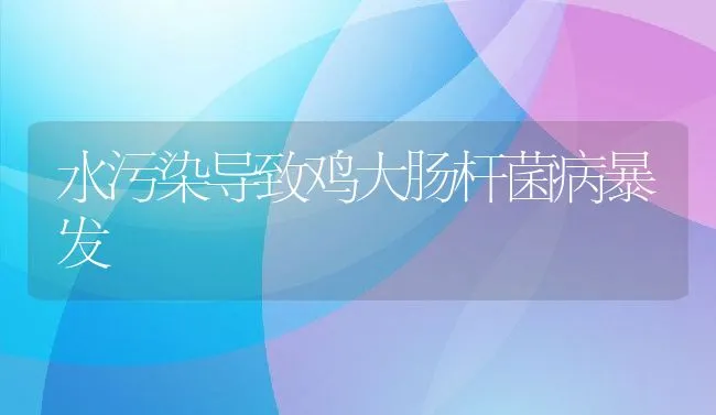 水污染导致鸡大肠杆菌病暴发 | 动物养殖学堂