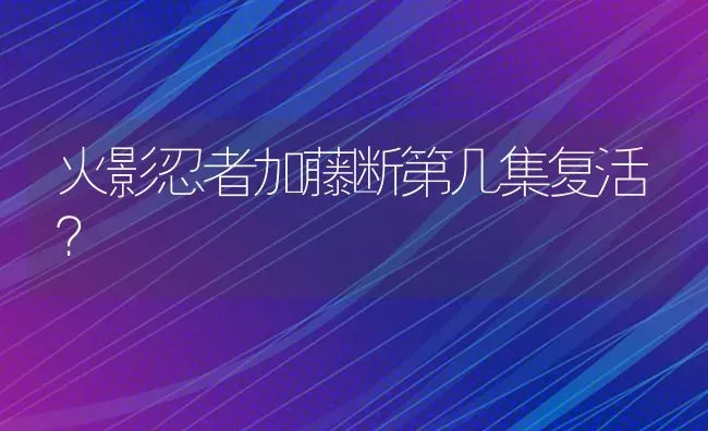 火影忍者加藤断第几集复活？ | 鱼类宠物饲养