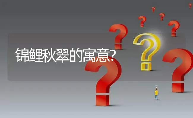 锦鲤秋翠的寓意？ | 鱼类宠物饲养