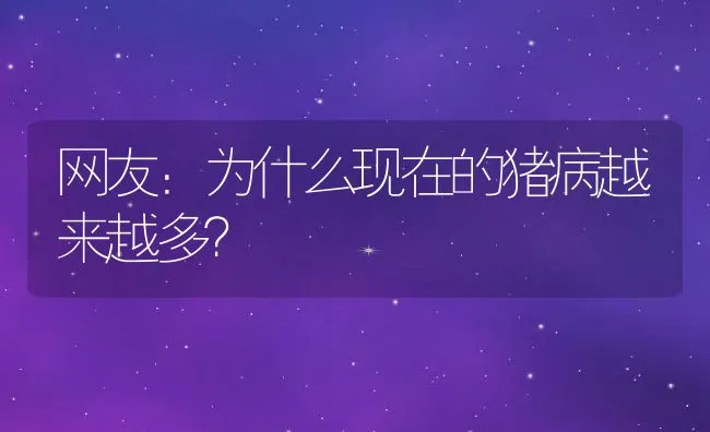 网友：为什么现在的猪病越来越多？ | 动物养殖学堂