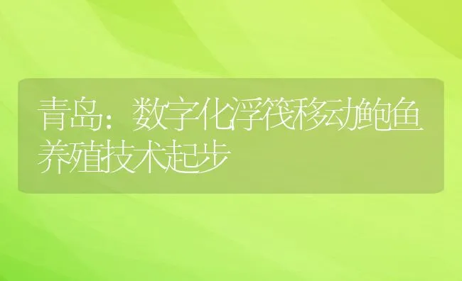 青岛：数字化浮筏移动鲍鱼养殖技术起步 | 动物养殖饲料