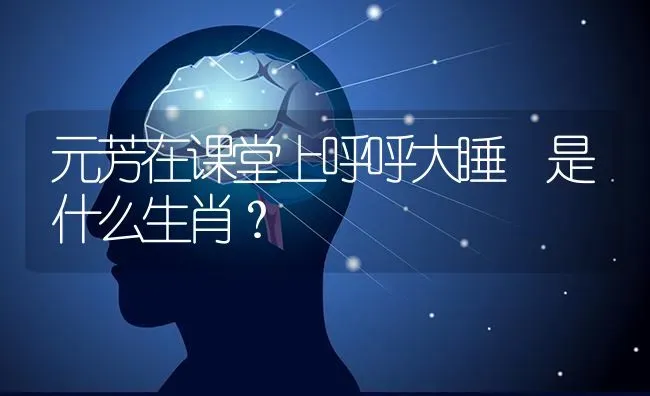 元芳在课堂上呼呼大睡 是什么生肖？ | 动物养殖问答