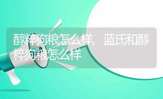 醇粹狗粮怎么样,蓝氏和醇粹狗粮怎么样 | 宠物百科知识