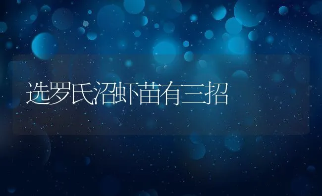 安徽所企产学研合作促临淮肉羊产业化 | 动物养殖饲料