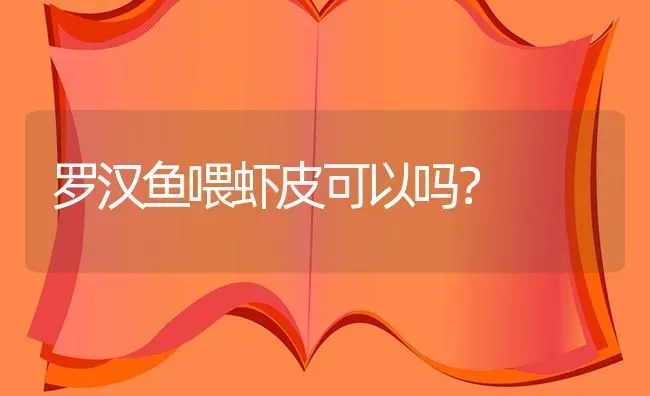 罗汉鱼喂虾皮可以吗？ | 鱼类宠物饲养