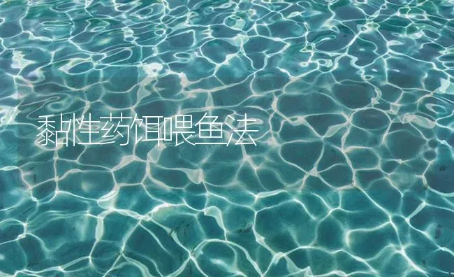 黏性药饵喂鱼法 | 海水养殖技术