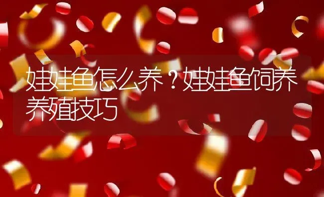 娃娃鱼怎么养？娃娃鱼饲养养殖技巧 | 动物养殖百科