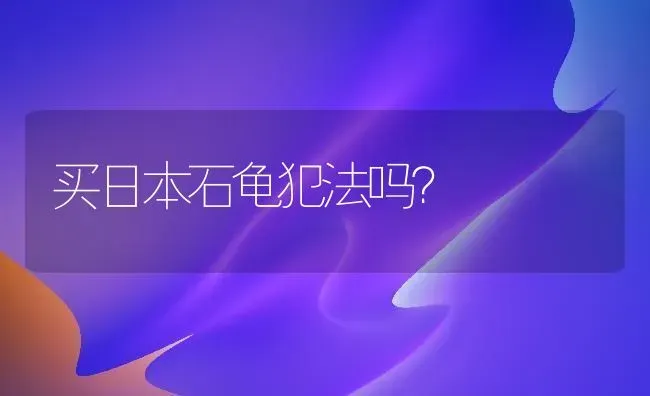 买日本石龟犯法吗？ | 动物养殖问答