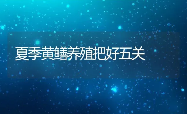 夏季黄鳝养殖把好五关 | 水产养殖知识