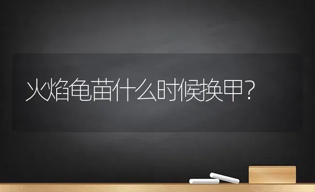 火焰龟苗什么时候换甲？ | 动物养殖问答